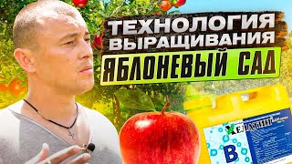 ЯБЛОНЕВЫЙ САД: технология выращивания (обрезка, уход, подкормки) от Алексея Верещаги Ч.2