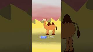 #Shorts #Суперкнига #Верблюд #Рисунокдлядетей  Что Вы Не Знали О Верблюдах?🐫