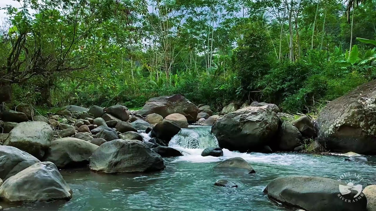 Relaxing Nature River Sounds | Gentle Water Flow for Sleep and Meditation
