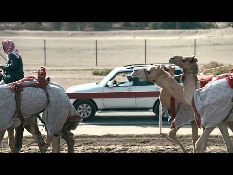 برنامج المركاض الليلة