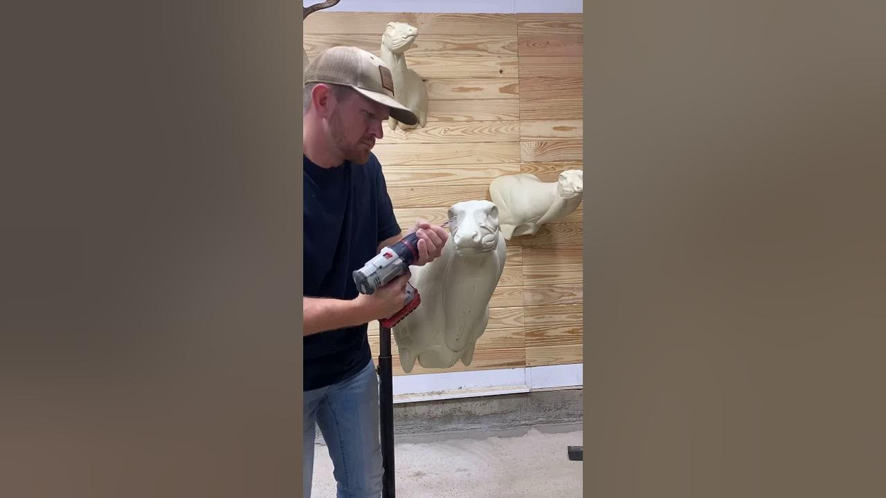 McKenzie 6900 whitetail taxidermy YouTube