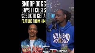Snoop Dogg says it cost 250k for a feature 500000$ for both with music video