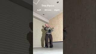 This Part🔥Mirrored Dance TutorialCORTIS"REDRED" #shorts
