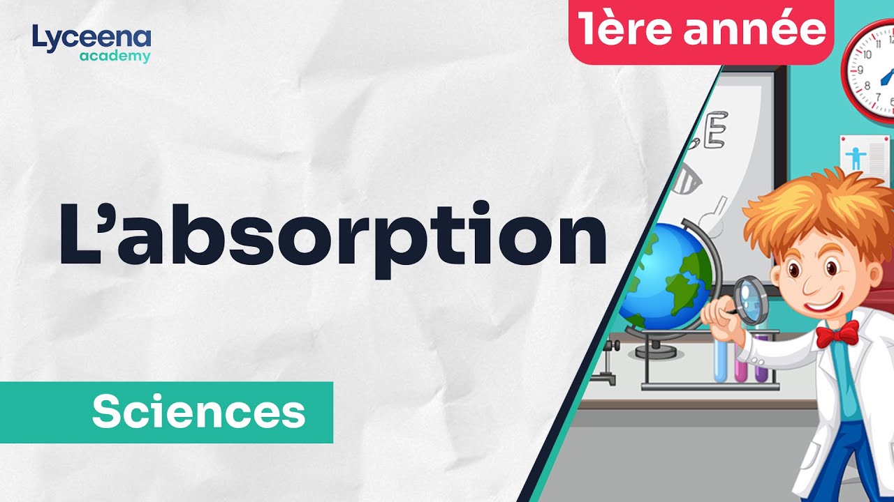 Les détails du cours l'absorption en SVT