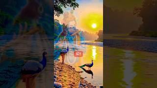 🙏🏻Krishna Gayan Motivation🙏🏻 #shortsfeed #motivation ##viral #shorts 🥰🙏🏻