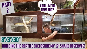 Building A Large Reptile Enclosure That My 12