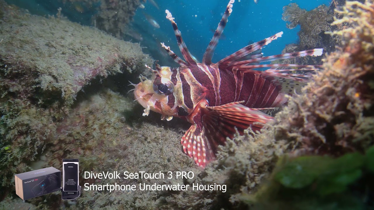 Divevolk Seatouch 3 Pro Underwater Smartphone Housing