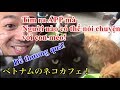 Mọi người có thể nói chuyện với con mèo bằng APP này không?
