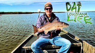 BIG Louisiana Marsh Redfish! INSANE Low Tide! (Catch & Cook)