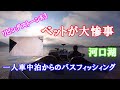 【キャンピングカー】リビングストーンK3のベットが大惨事!一人車中泊からの河口湖でのバスフィッシィング