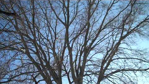 all the way down_0001.wmv