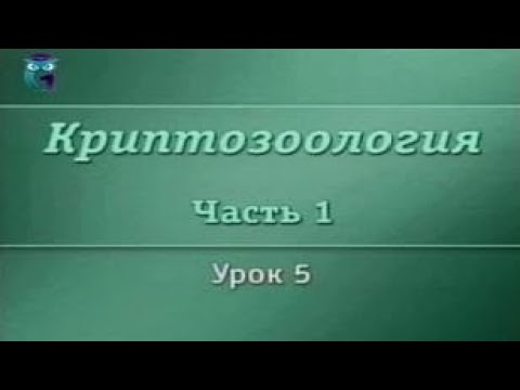 Video: Merikäärme Ja Kryptozoolologia - Vaihtoehtoinen Näkymä