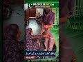 Maryam Nawaz Expands Healthcare Reforms Across Punjab | Modern Hospitals &amp; Free Medicines