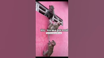why 🐒 monkey problem in JEE?🤣 #jee#hcverma#iit#neet#physics#viral#trending#trending#shorts
