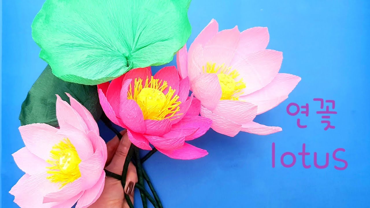 연꽃 만들기/주름지로 만든 아름다운 연꽃/ lotus/paperflower