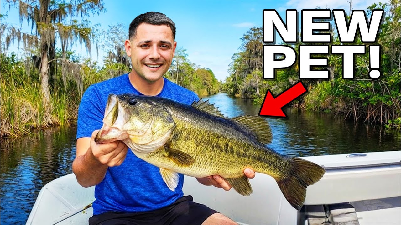 I Caught A GIANT Bass and Kept it as a Pet!!