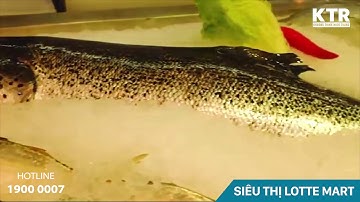 THE PEARL HỘI AN- SỔ HỒNG LÂU DÀI- ĐẦU TƯ SINH LỜI NGAY