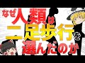 [ゆっくり解説][進化論]人類が歩く理由3選～どうして二足歩行を選んだのか～#ゆっくり科学#進化#人類#生物#科学