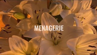 Karina AESPA - Menagerie (easy lyrics)