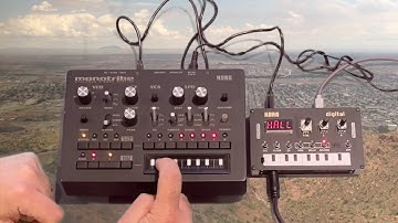 Monotribe with NTS-1 for reverb LoFi