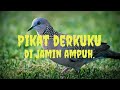 Suara Burung Derkuku Tekukur Buat Pikat Dijamin Ampuh Mp3 - Mp4 Download