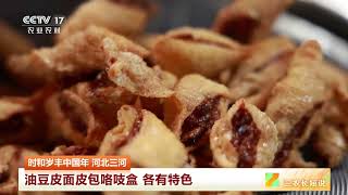 [三农长短说]时和岁丰中国年 河北三河 油豆皮面皮包咯吱盒 各有特色 | 农业致富经 Agriculture And Farming