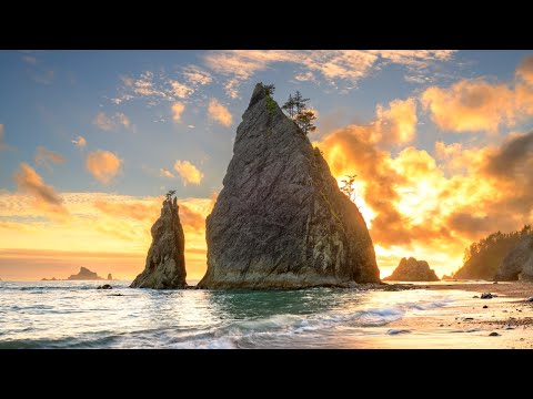 Video: West Coast National Park: de complete gids