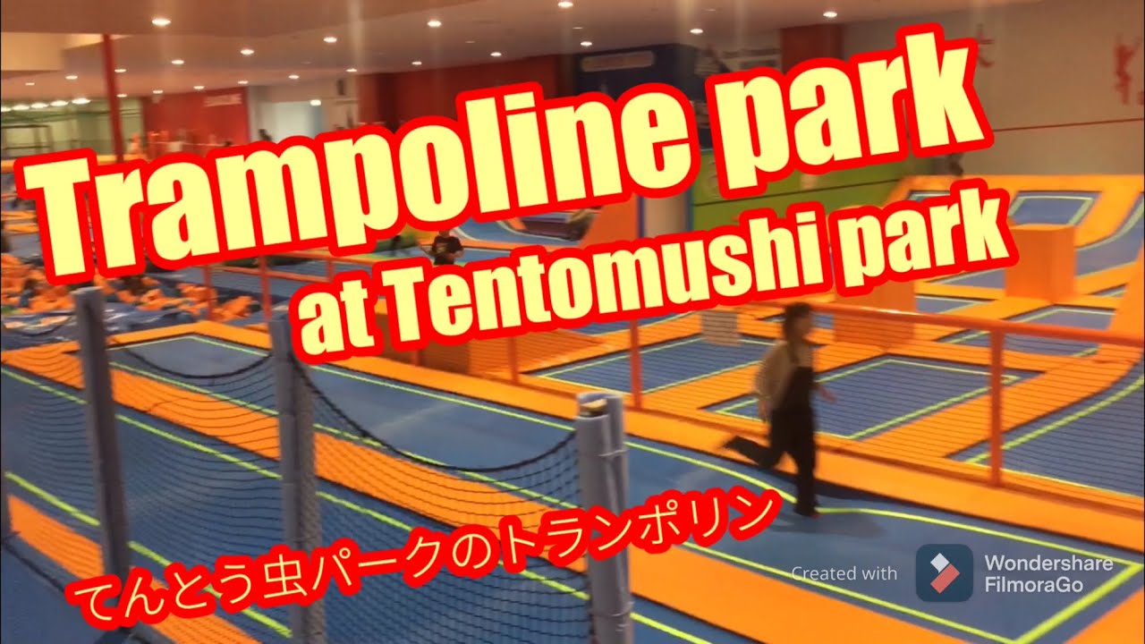 Trampoline Park At Tentomushi Park てんとう虫パークのトランポリン Youtube Trampoline Park At Tentomushi Park てんとう虫パークのトランポリン Youtube
