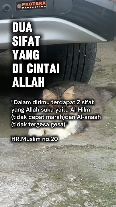 tidak mudah marah, personal development #quotes #motivation