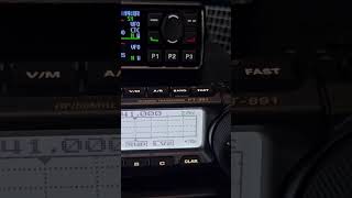 Yaesu FT-891 & Radtel RT20