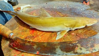 Shark FISH CUTTING SKILL | Amazing Cutting Skills | CT 360* #sharkfishcutting #fishcutting