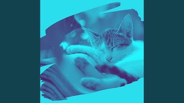 Magical Backdrops for Lazy Cat Days