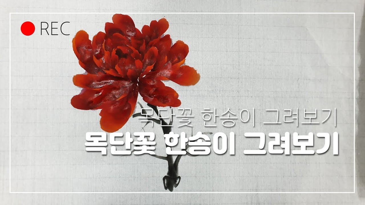 목단꽃 한송이 그려보기