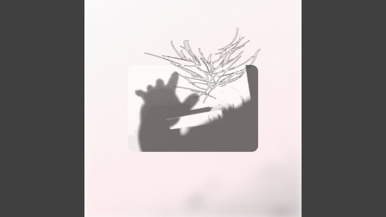 Torie - YouTube