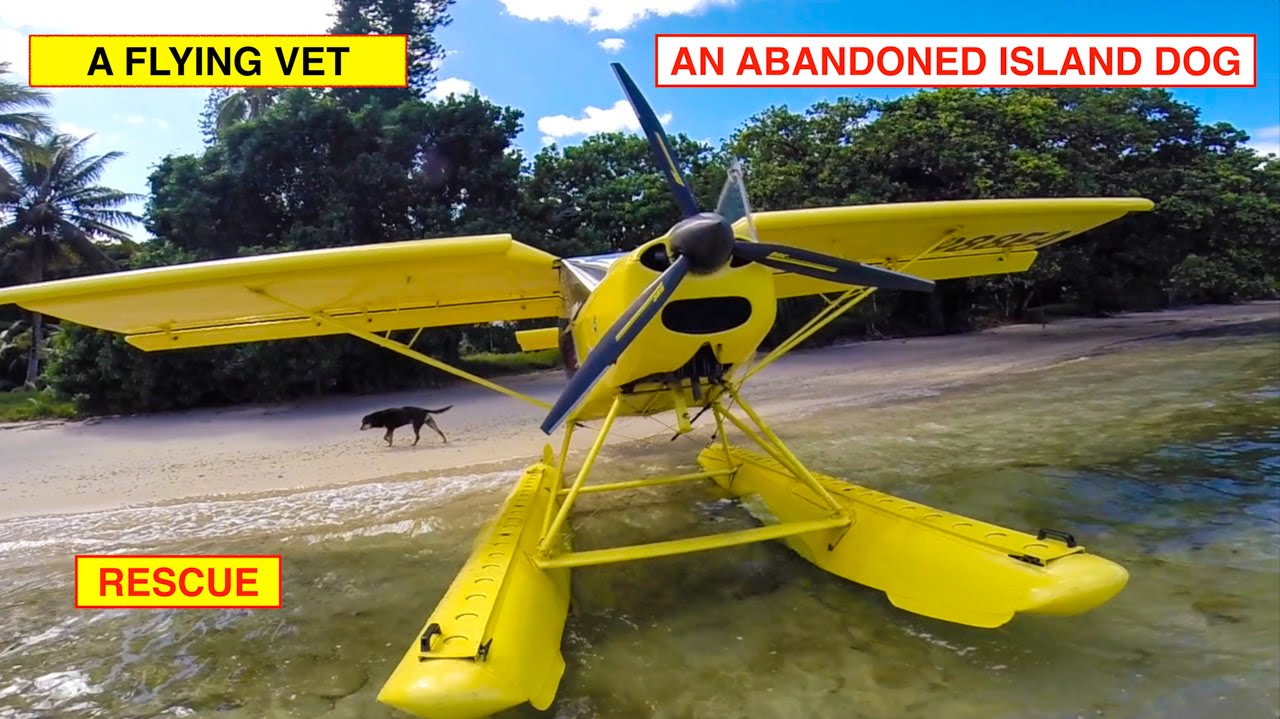 FLYING VET w ABANDONED ISLAND DOG