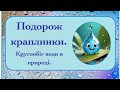 Заняття по STREAM освіті для дітей старшого дошкільного віку "Кругообіг води в природі" (фрагмент)