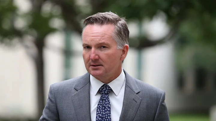 Chris Bowen the 'biggest liability' the Albanese g...