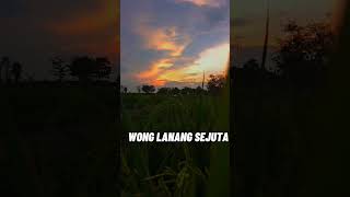 Download Lagu Setory Wa Damar Umpleng Tarling Cirebon MP3