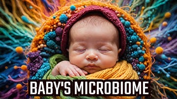 Journey of a Newborn