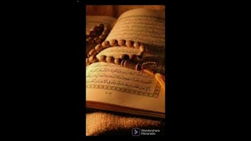 القران الكريم سورة الفيل #القرآن_الكريم #قرآن