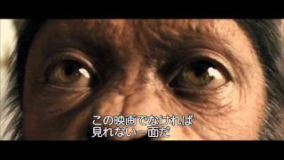 関連動画