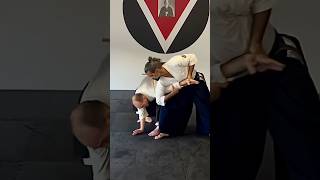 Aikido Martial Fusion Zenbu Dojo Sarasota Henkawaza Resimi