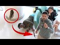 Tickling People With A Feather Prank!