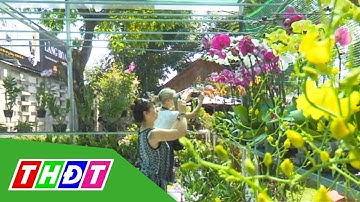 Rộn ràng không khí Xuân sớm tại Làng hoa Sa Đéc | THDT