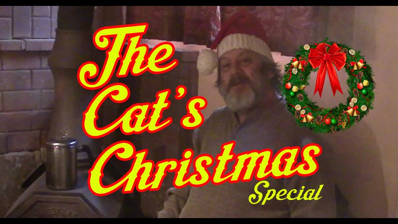 An Unknown Cat Christmas YouTube
