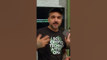 Prove your Presenc w/ DOTphin by Sovereign Nature  #cryptocurrency #polkadotcoin #dot #nft #polkadot