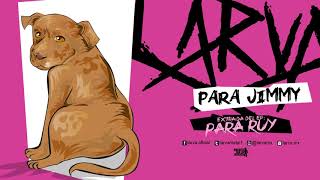 Video thumbnail of "LARVA - PARA JIMMY (audio)"