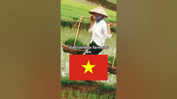 The Vietnam War #vietnam - DayDayNews