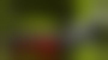 The Typing of The Dead: Overkill | Ep. 1 | Papa