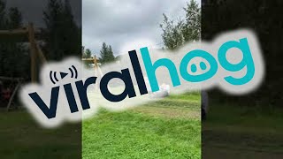 Dad Reflex Saves Son From Brother on Zipline || ViralHog